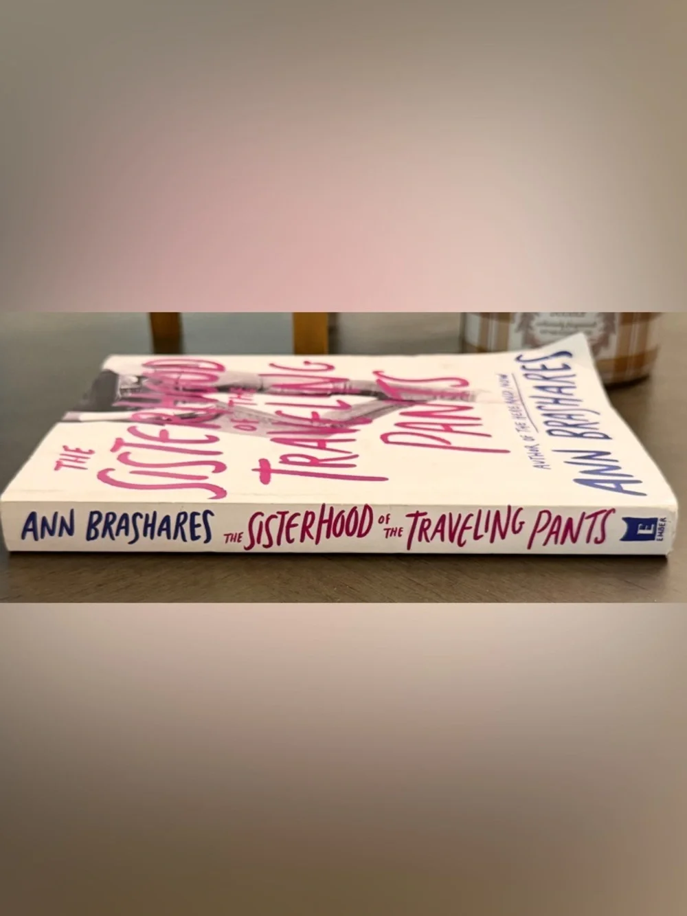 The Sisterhood of the Traveling Pants Book